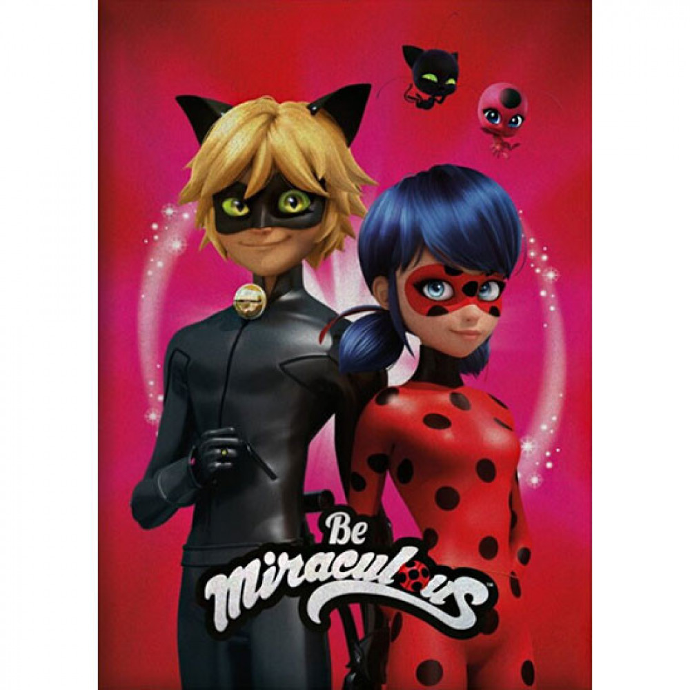 Ladybug and black cat dekica